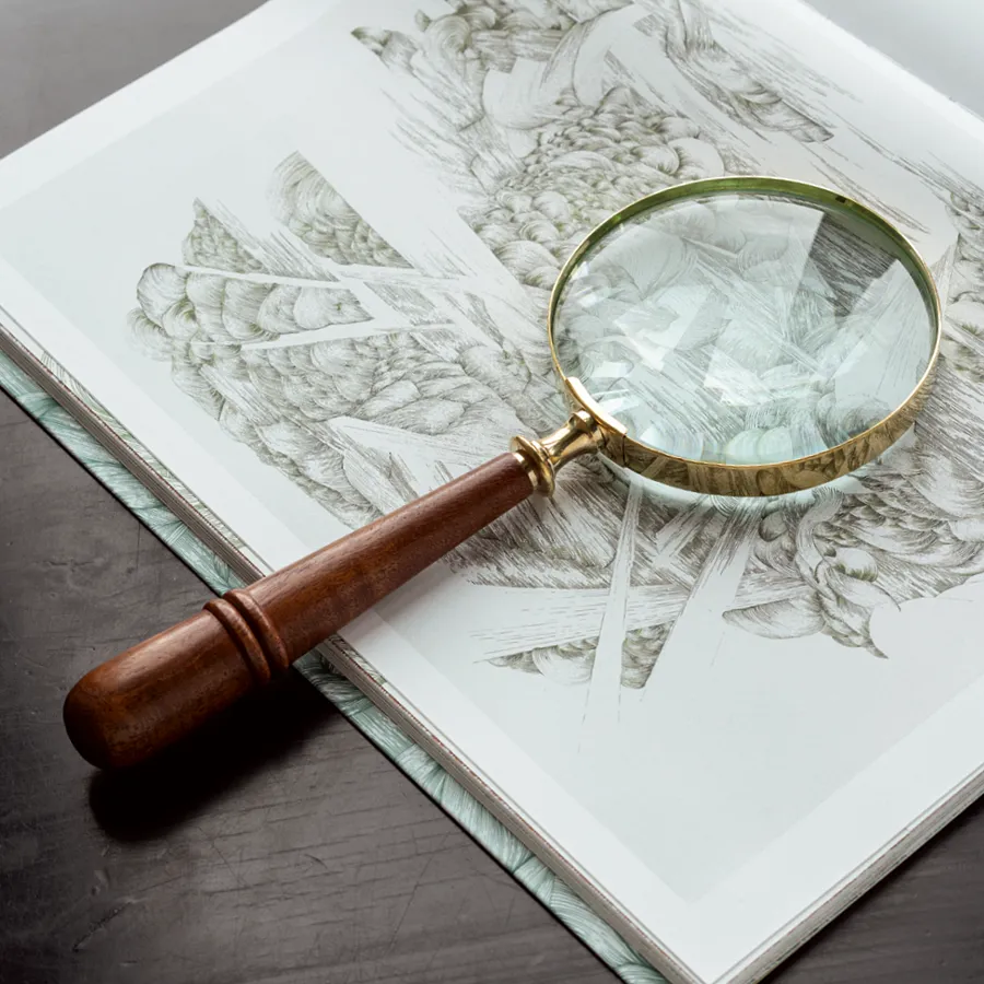 Wohnwelten - Lupe Poirot